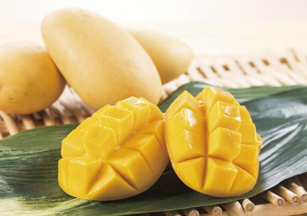 美容にも効果絶大 フィリピンのマンゴーと種類 フィリピンで頑張る日本人