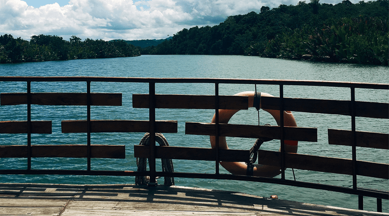 フィリピン・ボホール島観光の定番、ロボック川クルーズで大自然を満喫しよう！