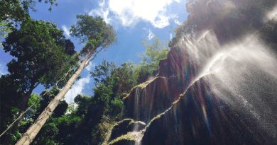 神秘の滝の癒し体験！フィリピン・セブ島「ツマログ滝」